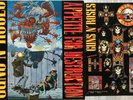 Guns N' Roses ?– Appetite For Destruction, Vinyl, 1. PRESS 1987, inklus. Sticker