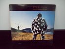 PINK FLOYD DELICATE SOUND OF THUNDER 1988 Original vinyl record LP PC2 44484