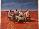 Muse - Black Holes and Revelations - Full Band Hand Signed 12