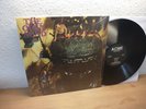 The Open Mind same Lp mint Psychedelic rock freakbeat garage rock