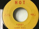 LARRY HALL “SANDY/LOVIN TREE” RARE YELLOW LABEL HOT H-1 M- Z99