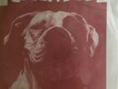 Green Day Slappy 7” E.P. 1990 Org. Press.   Operation Ivy Cover (knowledge)