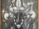 Led Zeppelin ?– Knebworth II (2 X LP) Toasted Records ?2S 909 Cover H.R Giger