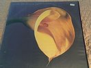 RARE SWANS LP ALBUM THE BURNING WORLD PROMO