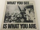 Alternative TV / Here And Now What You See... Is What You Are 1978 [DLP02] 12