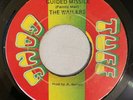 WAILERS (FAMILY MAN BARRETT) - GUIDED MISSILE - TUFF GONG ( ROOTS 7 )