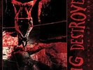 PIG DESTROYER-38 COUNTS OF BATTERY (REIS) (UK IMPORT) VINYL LP NEW