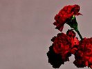 John Legend Love In The Future  VINYL 2LP ALBUM NEW