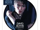 David Bowie - Alabama Song (40th Anniversary) Picture Vinyl 7