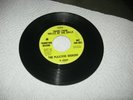 The PLEASURE SEEKERS   RARE MICHIGAN 60s PSYCH GARAGE PROMO 45