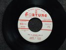 northern soul ANDRE WILLIAMS / GINO PARKS Put a Chain On It FORTUNE 847 M-