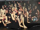 The Jimi Hendrix Experience - Electric Ladyland - 2xLP - 2612 037