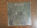 RHYS CHATHAM PYTHAGOREAN DREAM VINYL LP NEW SEALED 2016 POST MINIMALIST MUSIC