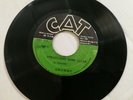 C. TAYLOR - DREADLOCKS GONE CLEAR // DUB VERSION [ CAT ]   [ DEK080]