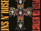 Guns N' Roses Appetite For Destruction 2 x LP 180 Gram Vinyl Album DELUXE RECORD