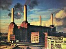 Pink Floyd - Animals - LP von 1977