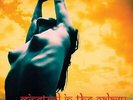 ACID MOTHERS TEMPLE-Minstrel In The Galaxy (UK IMPORT) VINYL NEW