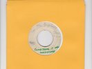 BLANK/ SOMETHING IS WRONG SOMEWHERE  -  GAYLADS  (70 SKINHEAD ROOTS 7