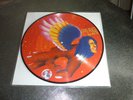 David Bowie The Man Who Sold the World Vinyl Picture Disc Record Store Day 2016