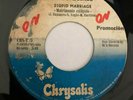 THE SPECIALS - Stupid Marriage / A Message To You Rudy - RARE PANAMA 45