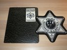 THE POLICE PICTURE SHAPE 10