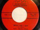 THE BANDITS   WHAT DID I SAY / A WOMAN   PERFECTION   Orig. GA Garage 45