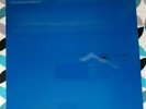 ISIS -12.17.04- Live 2xLP- UNPLAYED- 2006- Clear Vinyl (LTD 350)- Profound Lore
