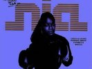 ROXANNE SHANTE & SPARKY D: OL SKOOL FLAVA OF NIA (LP vinyl *BRAND NEW*.)
