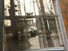 Paul McCartney Chaos And Creation In The Backyard 1st Press LP Vinyl Mint
