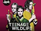 Teenage Wildlife - 25 Years of Ash - Ash (12