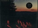 FAMILY OF THE YEAR: GOODBYE SUNSHINE HELLO NIGHTTIME (LP vinyl *BRAND NEW*.)