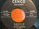 R&B Mod Instro Tittyshaker 45 Robbie Robinson - Goofin/Blue Night CENCO