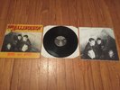 Die Alliierten Ruhm und Ehre Punk Rock OI  SKIN Vinyl LP