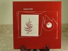 Pink Floyd 