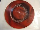 Alan Parsons Project / Vulture Culture /  Rare Picture Disc 12
