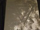 THE BLACK QUEEN FEVER DAYDREAM  limited white vinyl sealed