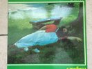 Banco del Mutuo Soccorso _ Capolinea _ Vinile LP 33' 12