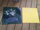 Aphex Twin - Girl / Boy 12” RARE Warp Records