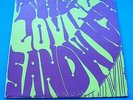 THE LOVING SANDWICH 1st US PRIVATE *RARE* 1967 GARAGE PUNK PSYCH LP INSTINCTS