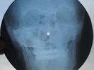 JOHNNY CASH - I WALK THE LINE - USSR GEORGIAN X-RAY ROENTGEN SKULL BONES RECORD