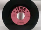 THE BITTERSWEETS Hurtin Kind   Summertime 1967 TEMA RECORDS 45 PXT-001 VG+ - NM