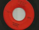 GARAGE FUZZ ROCKER - the MYST-  IM CRYING - HEAR -1969 PA. OPEN