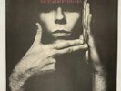 Teardrop Explodes Wilder 12