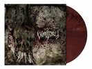 Vomitory „Carnage Euphoria“ burgundy red marbled vinyl LP [swedish Death Metal]