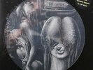 The Shiver-Walpurgis Swiss  prog psych picture disc lp reissue new 8 pg insert