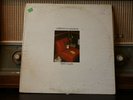 Terry Allen -  Lubbock On Everything Vinyl LP