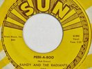 RANDY & RADIANTS Peek A Boo / Mountain’s High SUN 45 garage 1965 NM HEAR