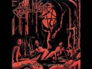 ANAL VOMIT VINYL LP 12
