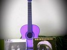 Musima Guitar Bundle selling with Rolling Stones LP and Beatles LP. 1st,2ndpress
