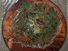 The The Cold Spell Ahead / Hot Ice Picture Disc Record Rare